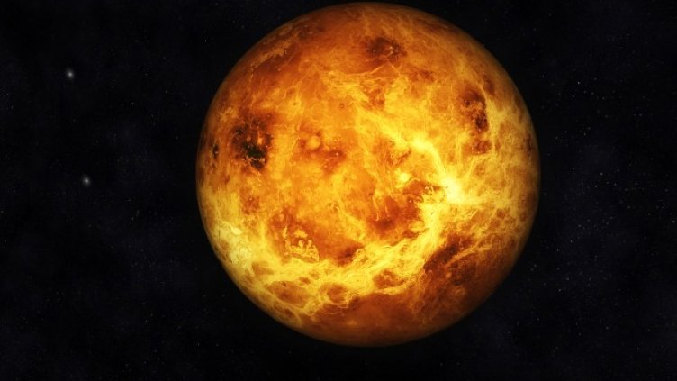 Снимка: iStock/3quarks