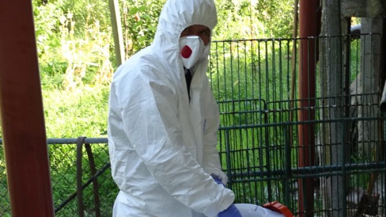 Снимка БГНЕС