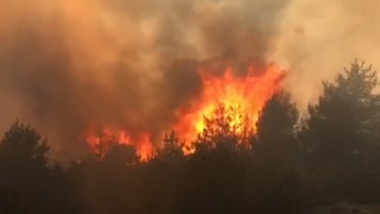 Снимка БГНЕС