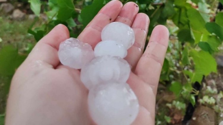 Снимка БГНЕС