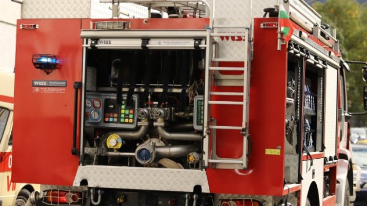 Снимка: архив, БГНЕС