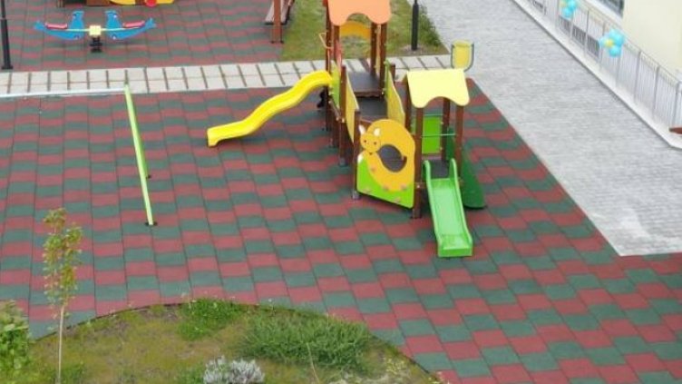 Снимка БГНЕС