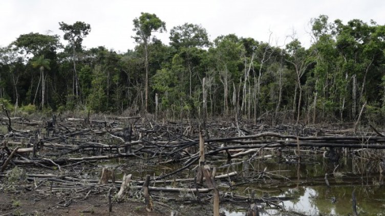 Снимка: архив, БГНЕС