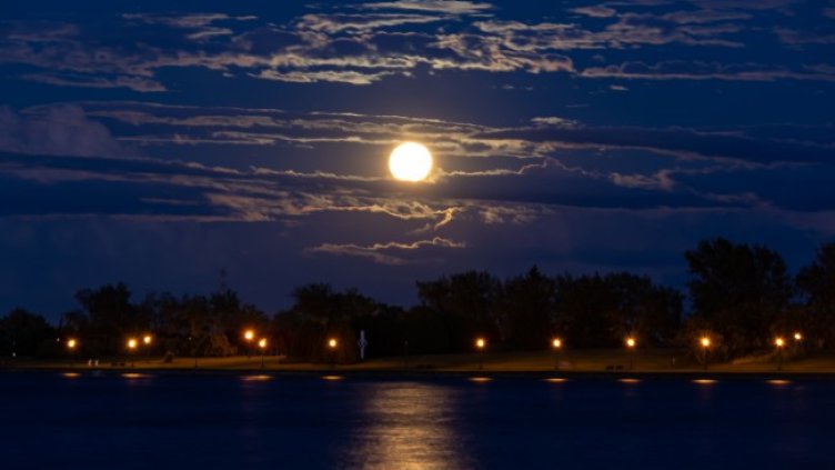 Снимка: iStock/Milaspage