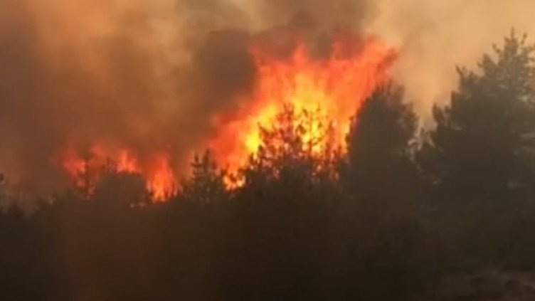 Снимка БГНЕС