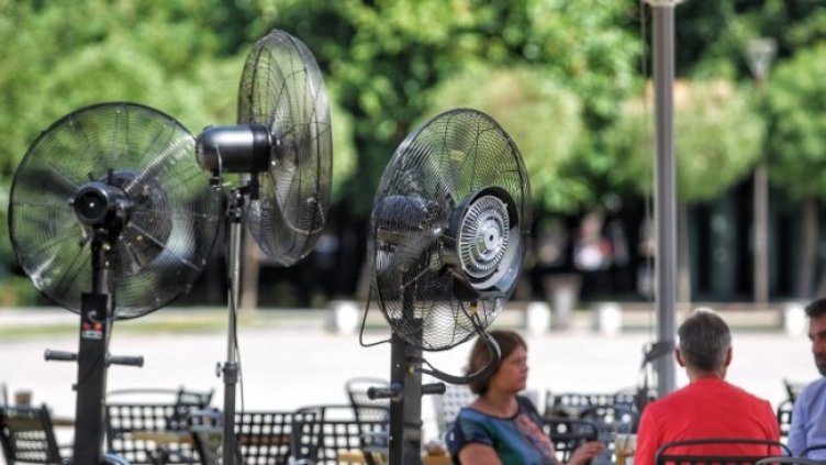 Снимка: Димитър Кьосемарлиев, Dnes.bg