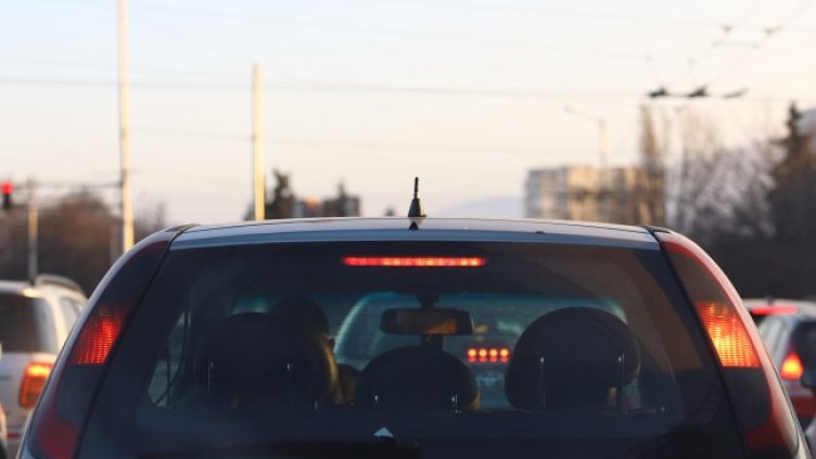 Снимка: архив, БГНЕС