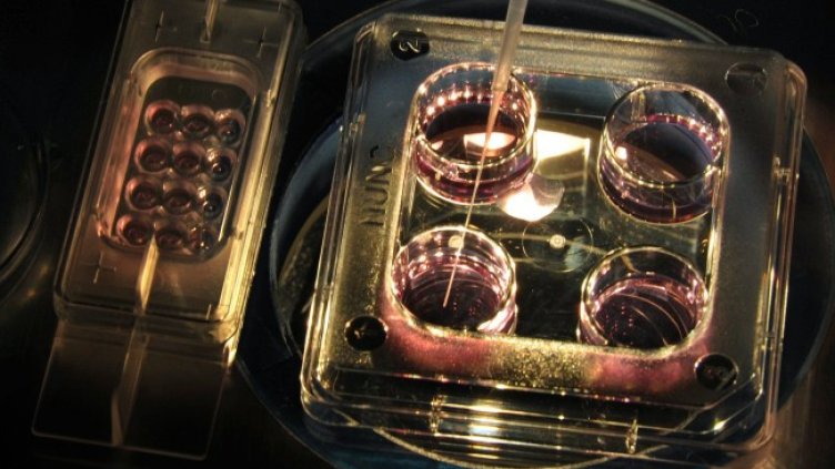 Снимка: архив, БГНЕС