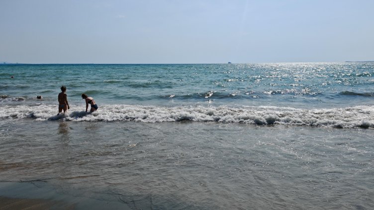 Снимка: архив, БГНЕС