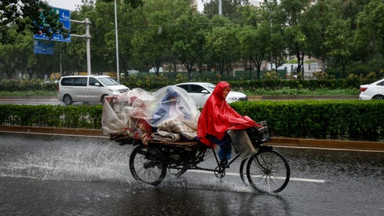 Снимка: архив, БГНЕС
