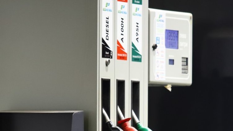 Снимка БГНЕС, архив