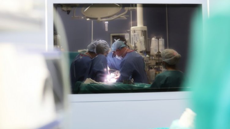 Снимка: архив, БГНЕС