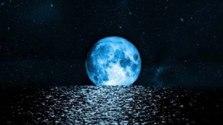 Снимка: Istockphoto