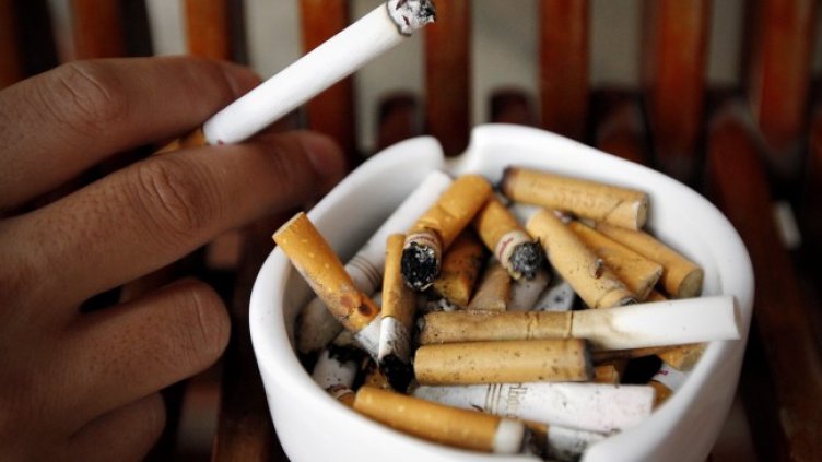 Снимка: архив, БГНЕС