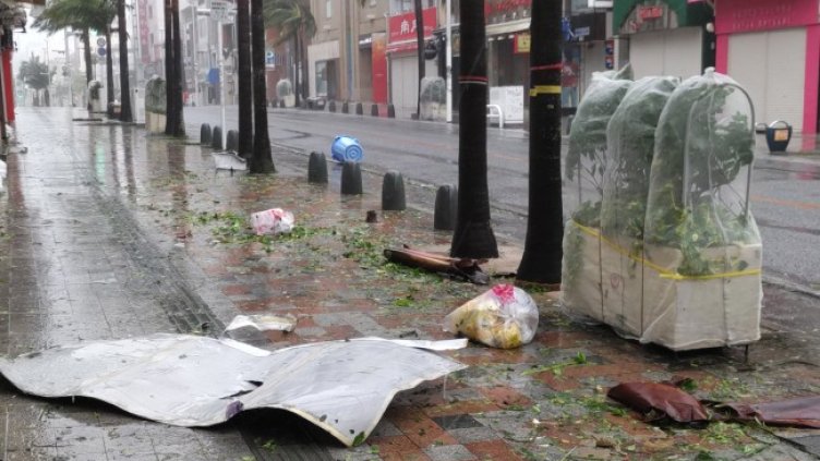 Снимка: архив, БГНЕС