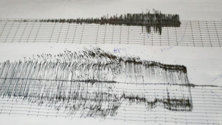 Снимка: архив, БГНЕС