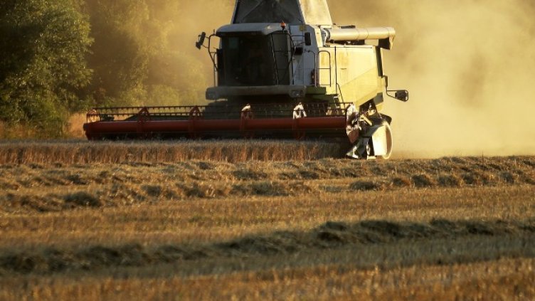 Снимка БГНЕС, архив