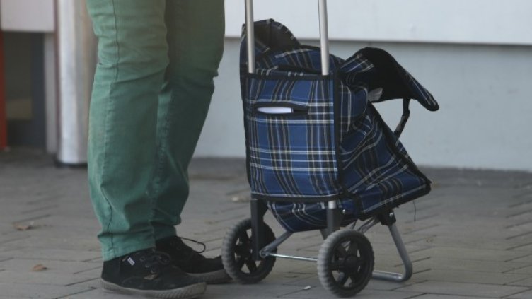 Снимка: архив, БГНЕС