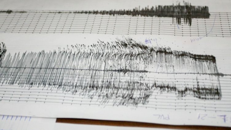 Снимка: архив, БГНЕС
