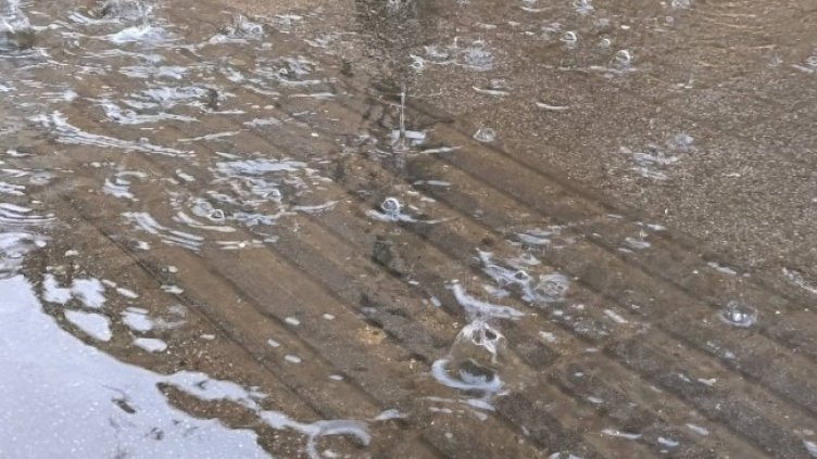 Снимка: Архив, БГНЕС