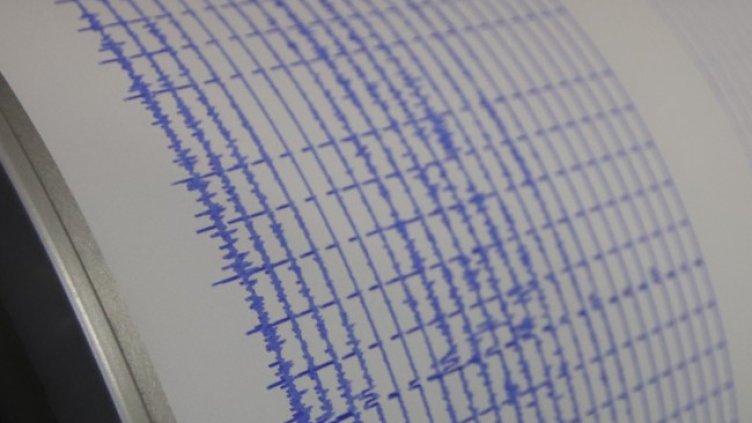 Снимка: архив, БГНЕС