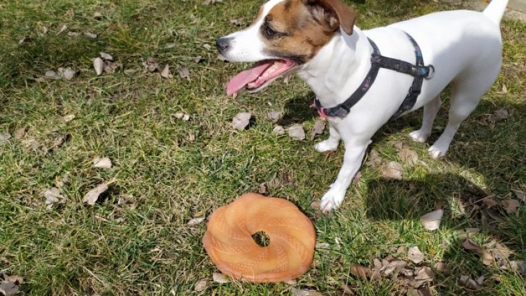 Снимка: Dnes.bg