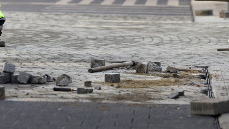 Снимка БГНЕС, архив