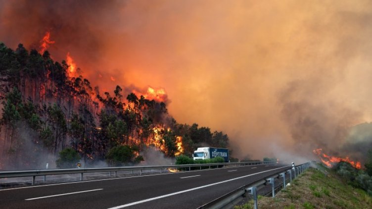 Снимка: БГНЕС