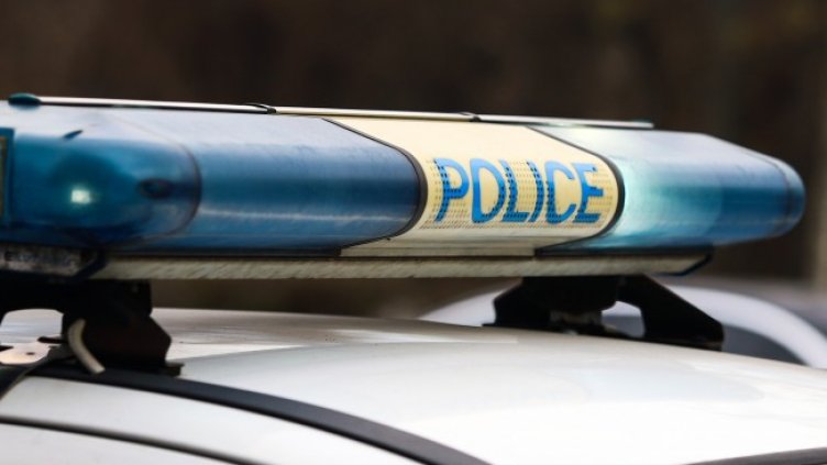 Снимка: архив, БГНЕС