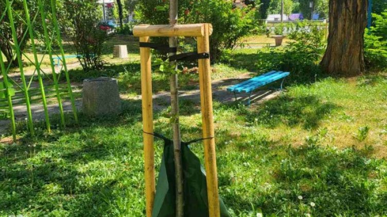 Снимка БГНЕС