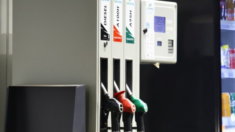 Снимка БГНЕС, архив