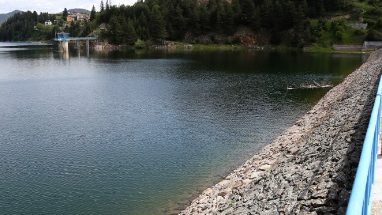 Снимка БГНЕС, архив