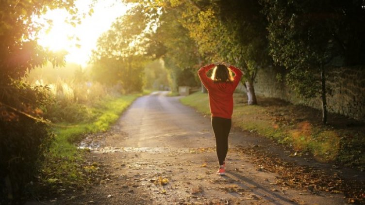 Снимка: Pixabay