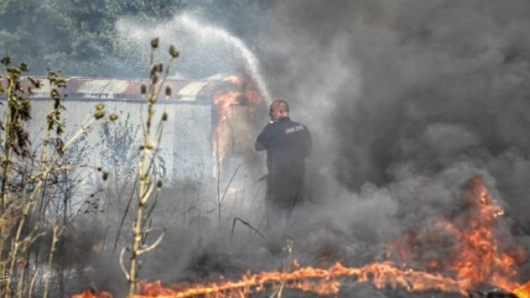 Снимка: Димитър Кьосемарлиев, Dnes.bg