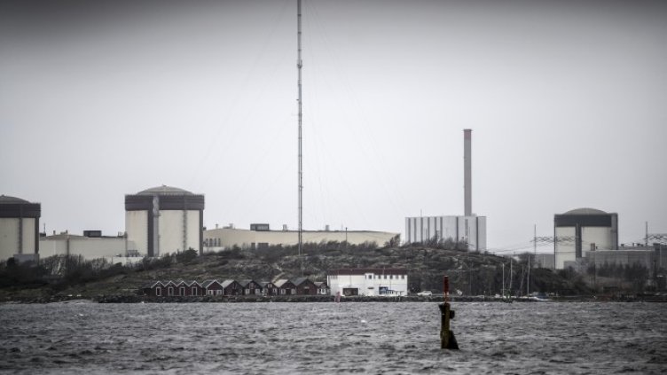 Снимка: архив, БГНЕС