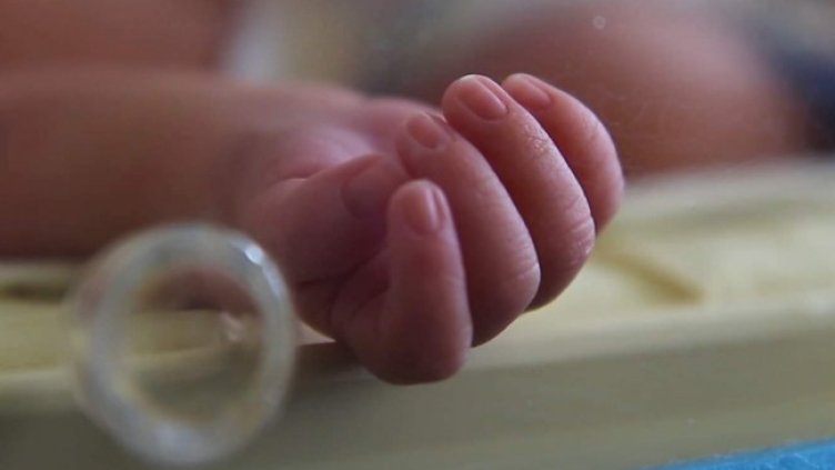 Снимка БГНЕС, архив