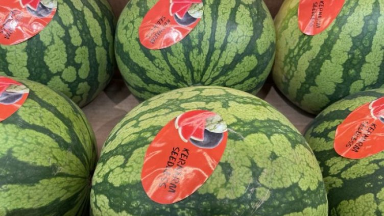 Снимка: Bloomberg TV Bulgaria