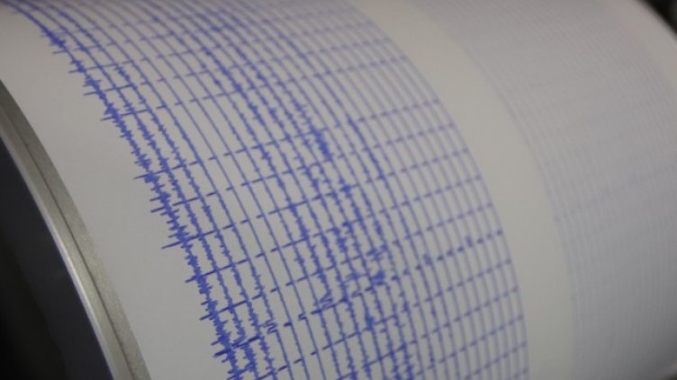 Снимка: архив, БГНЕС