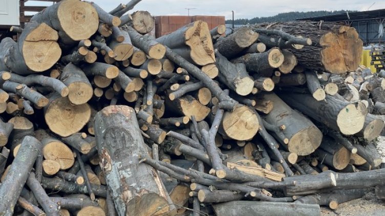 Снимка БГНЕС, архив