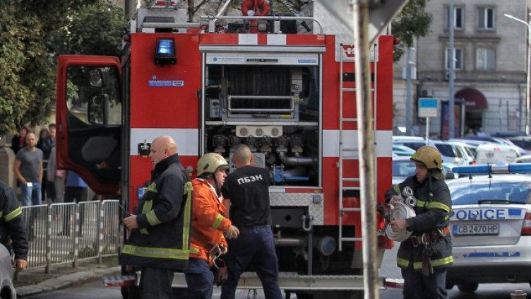 Снимка: Димитър Кьосемарлиев, Dnes.bg