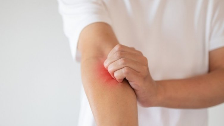 Снимка: Istock