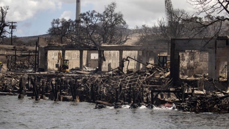 Снимка: архив, БГНЕС