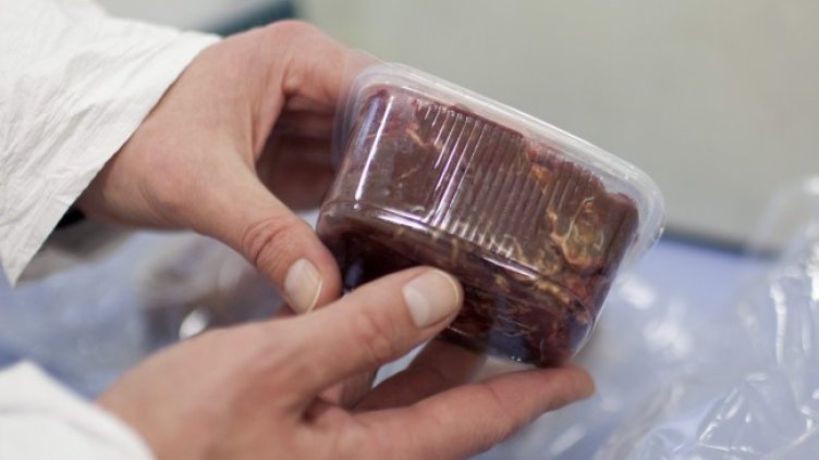 Снимка: архив, БГНЕС