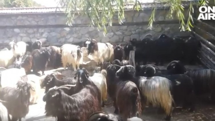 Снимка: Bulgaria ON AIR