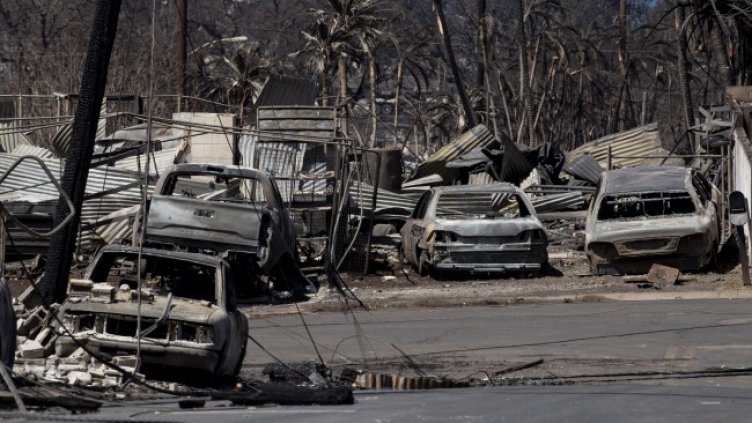 Снимка: Bloomberg TV Bulgaria