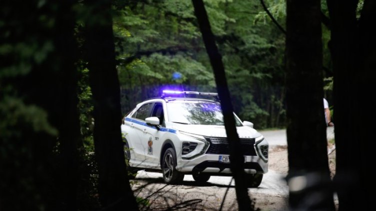 Снимка: архив, БГНЕС