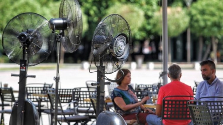 Снимка: Димитър Кьосемарлиев, Dnes.bg