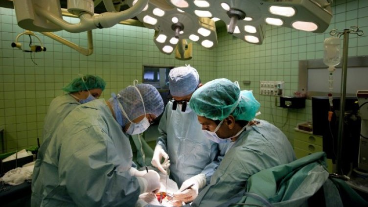 Снимка: архив, БГНЕС