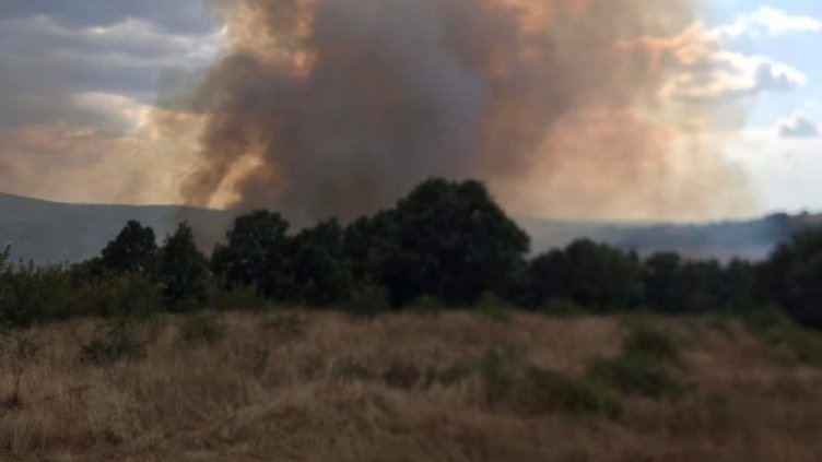 Снимка: БГНЕС