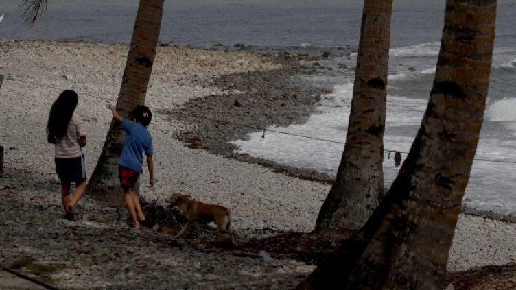 Снимка: архив, БГНЕС